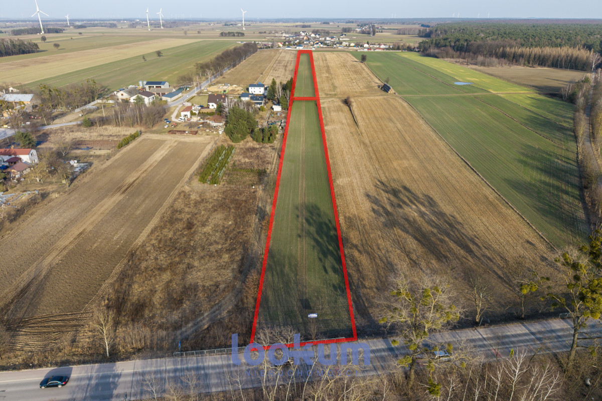 Stefanów Koluszki | 1,38 ha | WZ | Las | Media #11607503