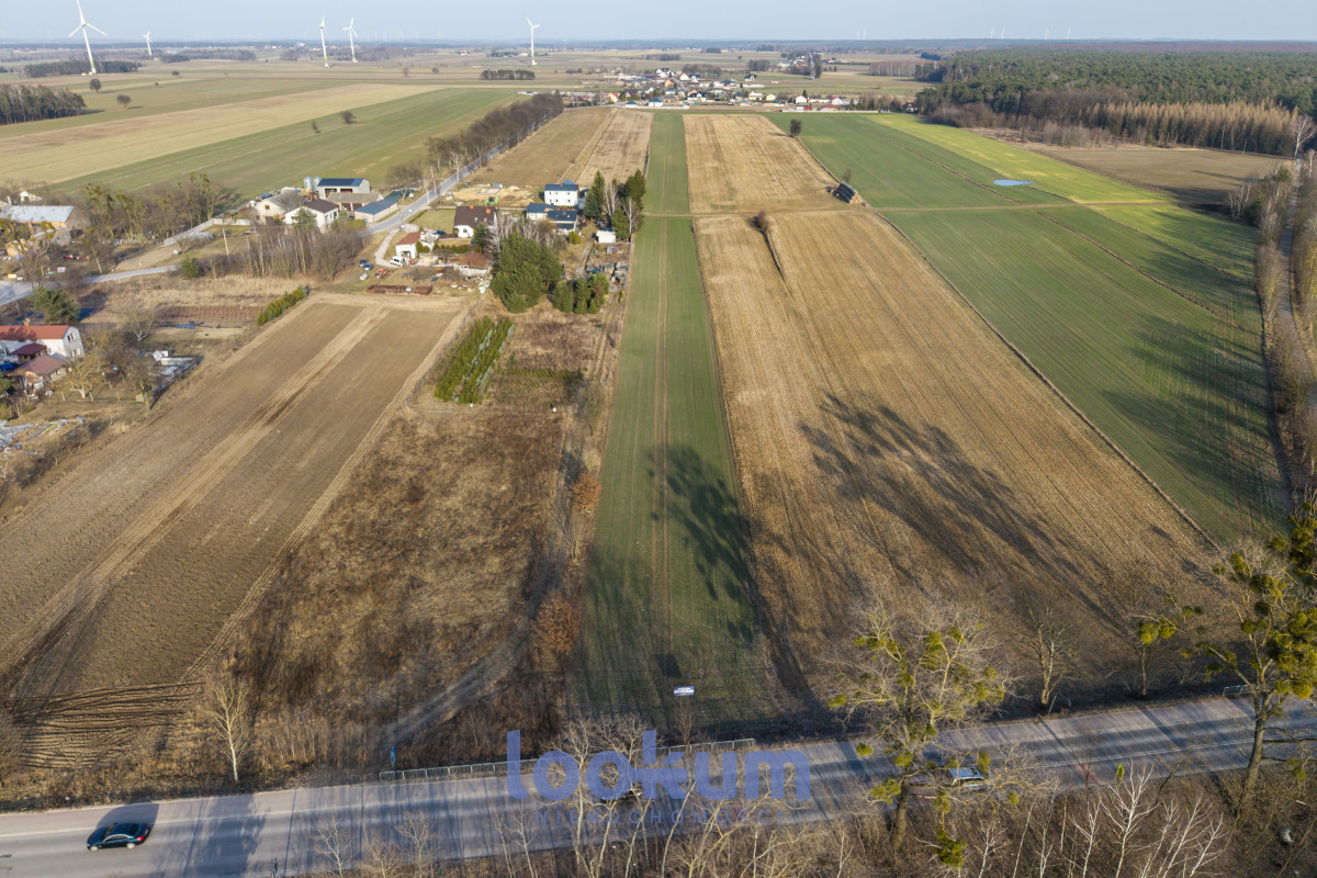 Stefanów Koluszki | 1,38 ha | WZ | Las | Media #11607503