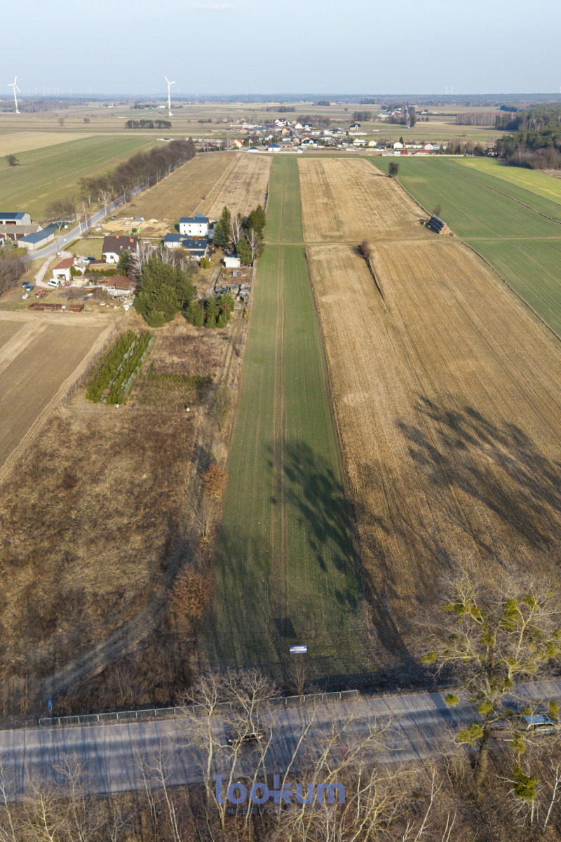 Stefanów Koluszki | 1,38 ha | WZ | Las | Media #11607503