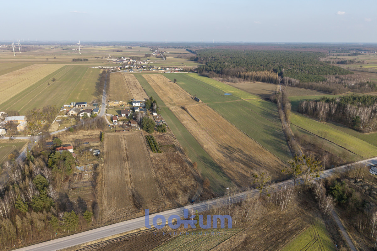 Stefanów Koluszki | 1,38 ha | WZ | Las | Media #11607503