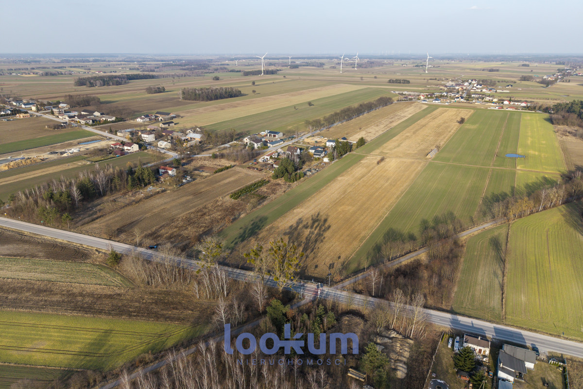 Stefanów Koluszki | 1,38 ha | WZ | Las | Media #11607503