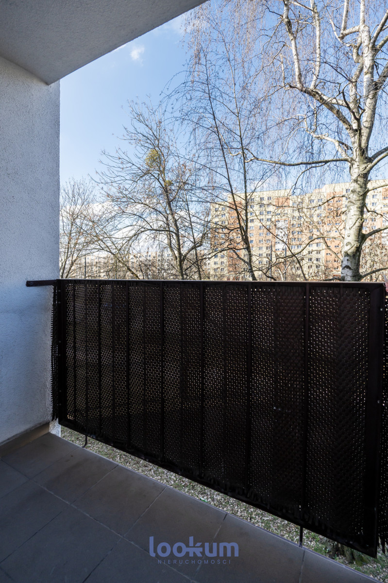 ⭐️ M3 przy Parku | po remoncie | Zarzew ⭐️ #11711291