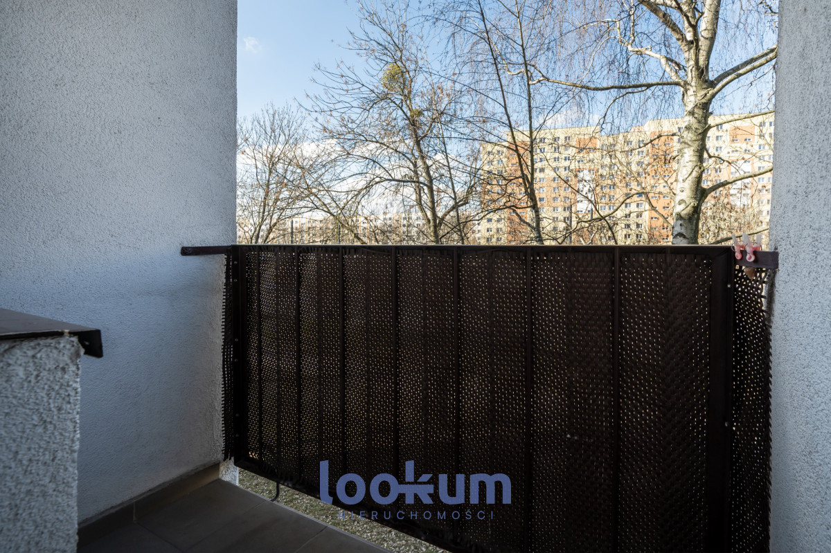 ⭐️ M3 przy Parku | po remoncie | Zarzew ⭐️ #11711291